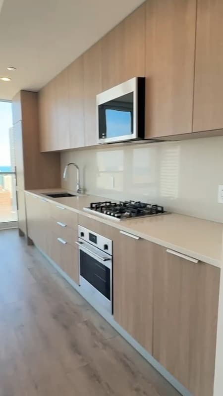 Chicago Condo: 220 W Hill St