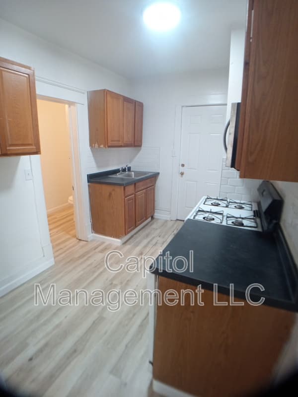 Lansing Condo: 220 W Lapeer St
