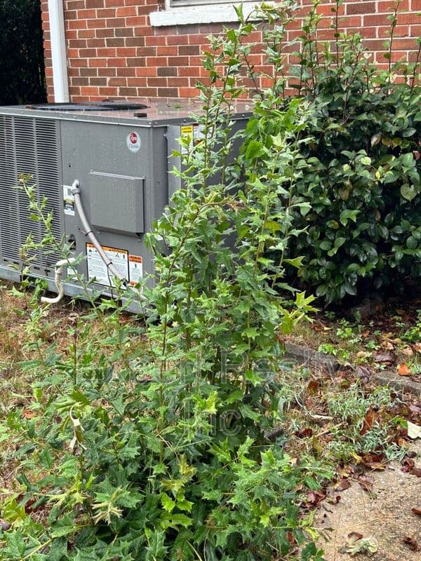 Birmingham House: 1025 45th Street Ensley