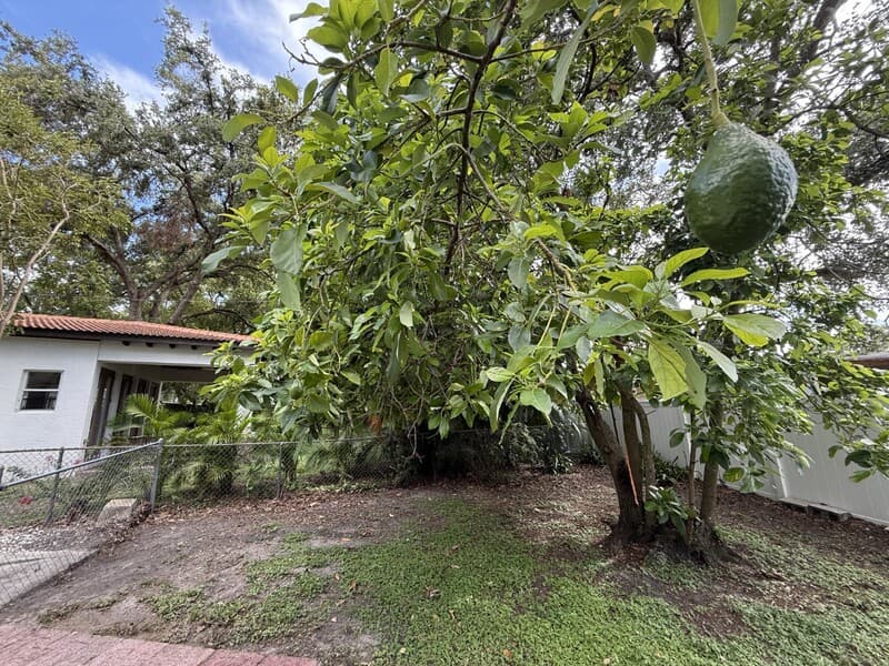 Tampa House: 1502 West Country Club Drive