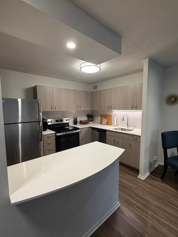 Chicago Condo: 1135 N Dearborn St