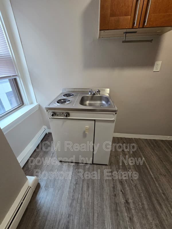 Jamaica Plain Condo: 191 Green St