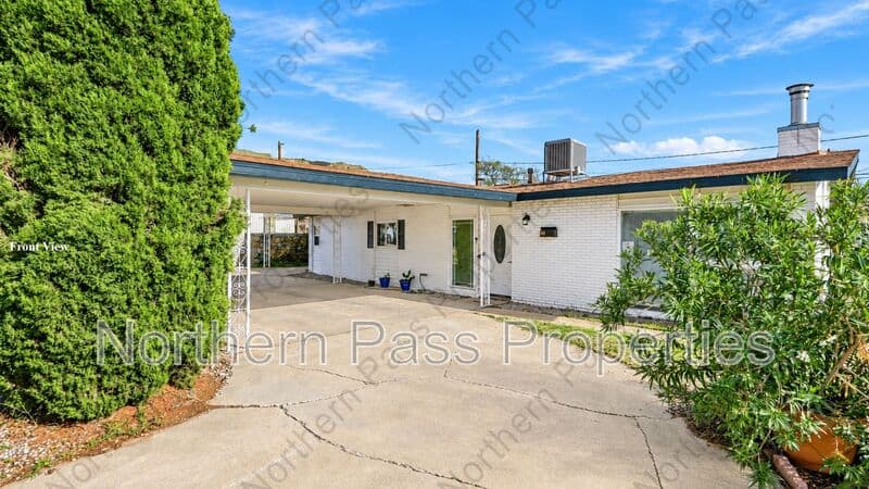 El Paso House: 208 Carnival