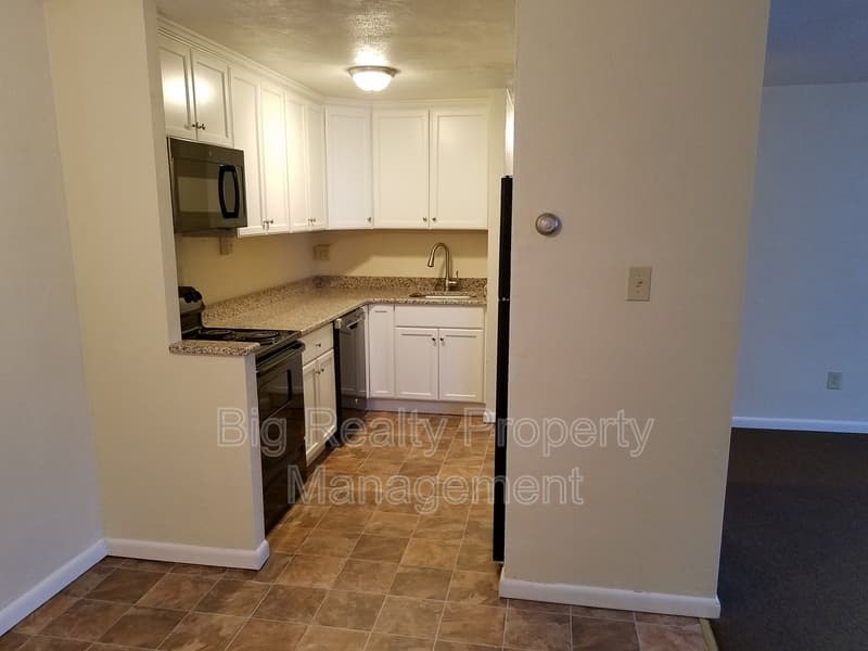 Spring City Condo: 120 N Penn St