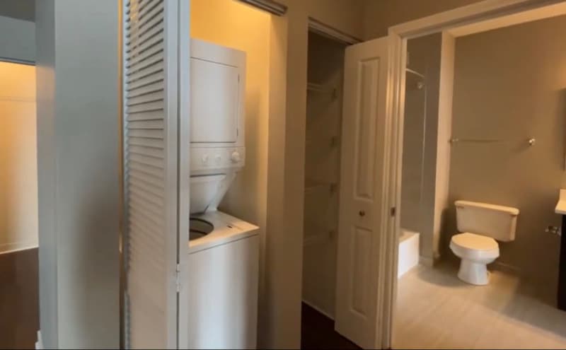 Chicago Condo: 739 N Wabash Ave