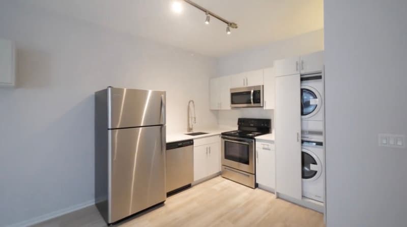 Chicago Condo: 176 N Wells St