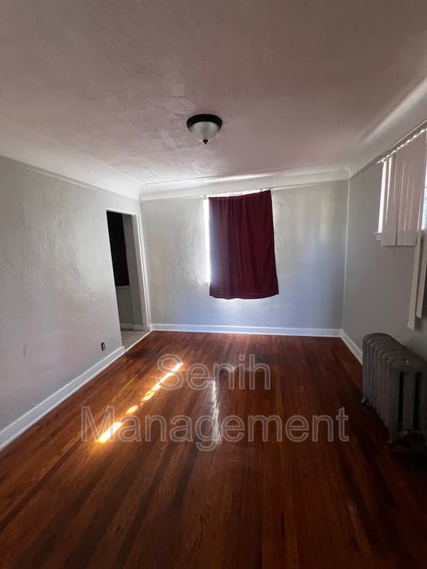 Detroit House: 4203 Tyler St