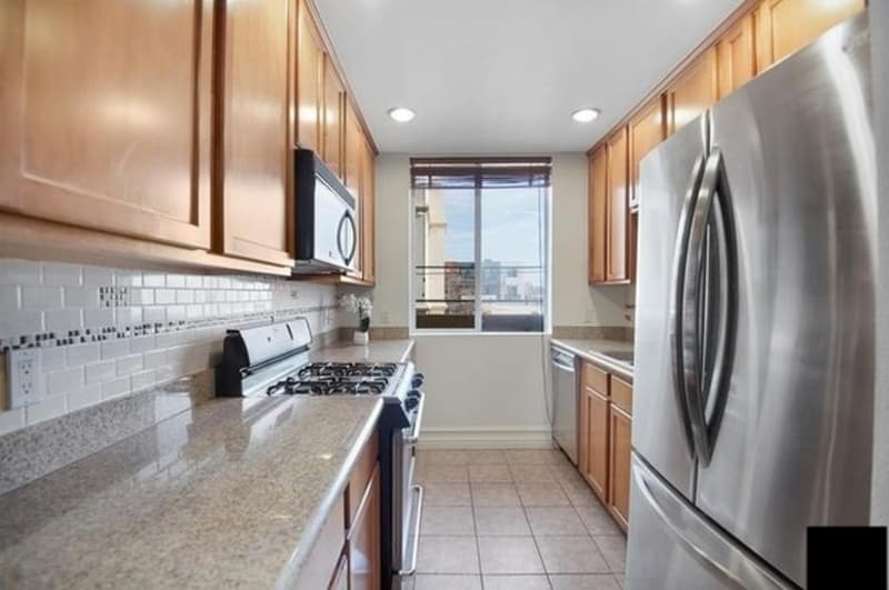 Los Angeles Condo: 850 North Hudson Avenue - 205