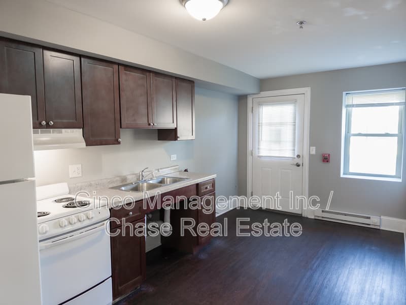 Joliet Condo: 115 North Hickory Street - C