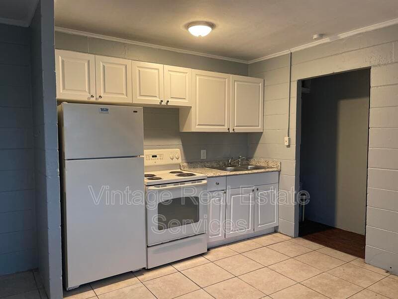 St Petersburg Condo: 843 Union St S