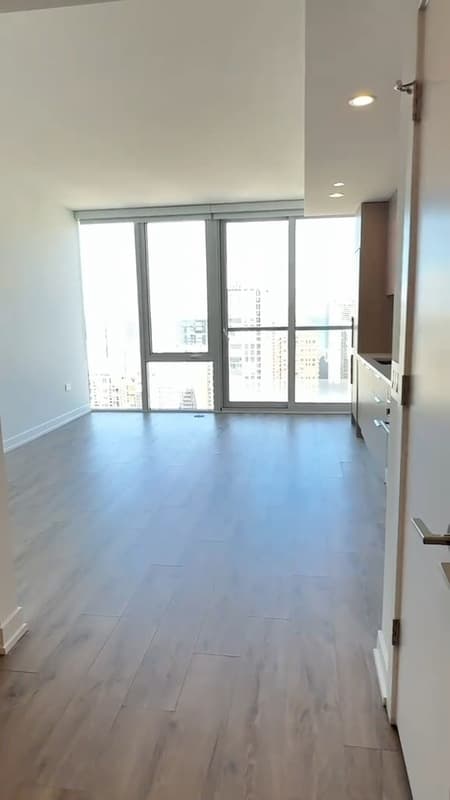 Chicago Condo: 220 W Hill St