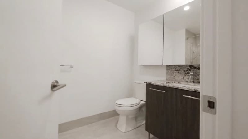 chicago Condo: 825 N Hudson Ave