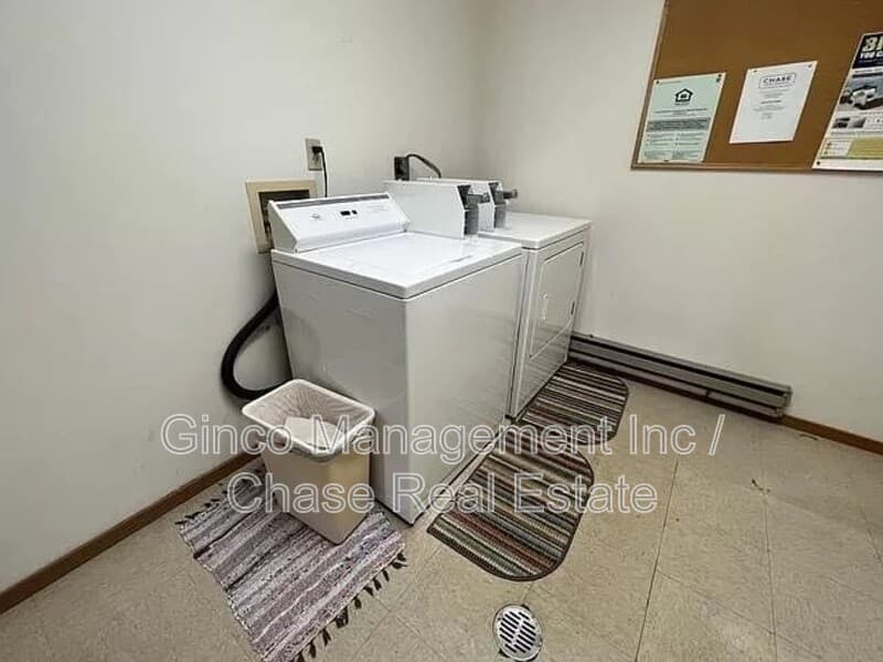 Braidwood Condo: 405 East Reed Street - 9