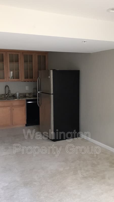 Capitol Heights House: 706 Rollins Ave Basement