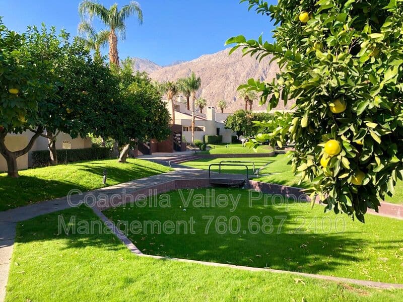 Palm Springs House: 999 Village Square South