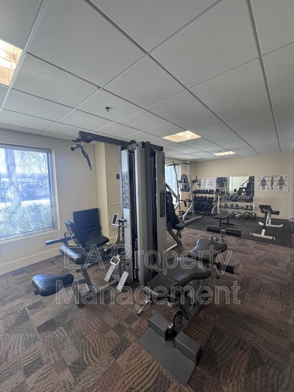 Albuquerque Condo: 1331 Park Ave SW