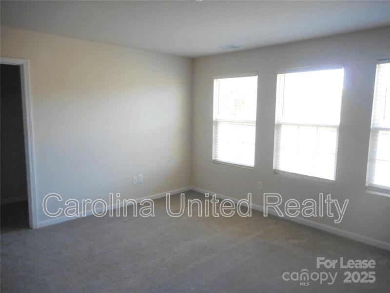 Charlotte Townhome: 12715 Wandering Brook Dr