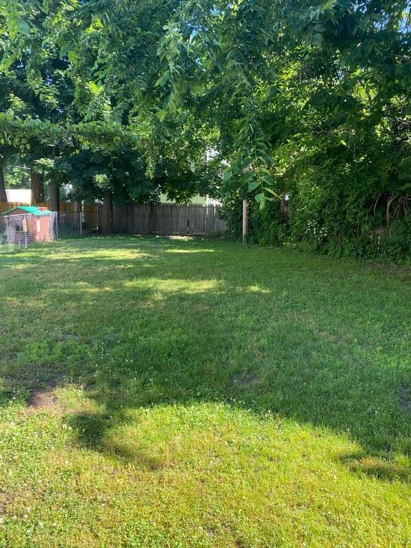 Springfield Condo: 48-50 Rifle St