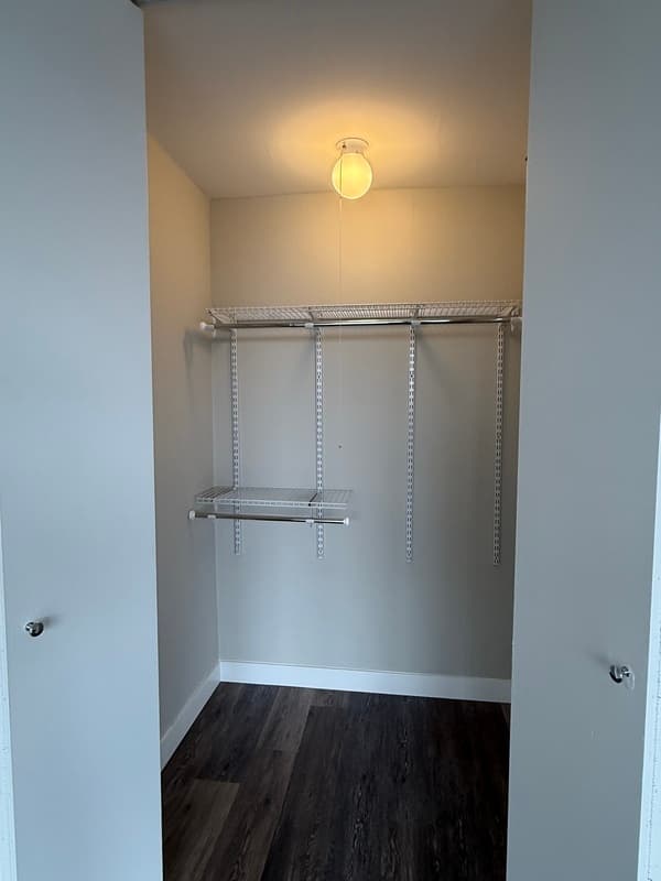 Chicago Condo: 870 N  State St.