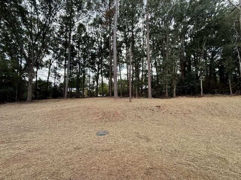 Bogart House: 108 Whitehead Road