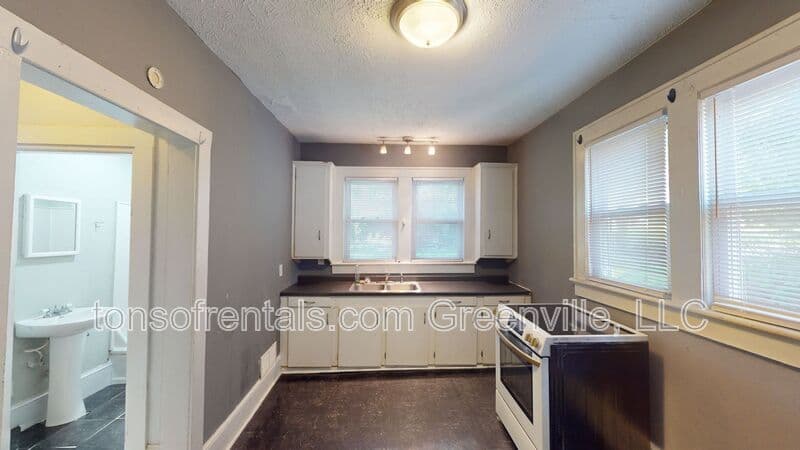 Greenville Condo: 300 Smythe Street