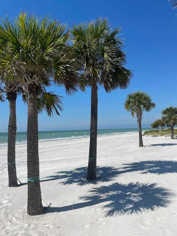 Redington Beach Condo: 15613 Gulf Boulevard