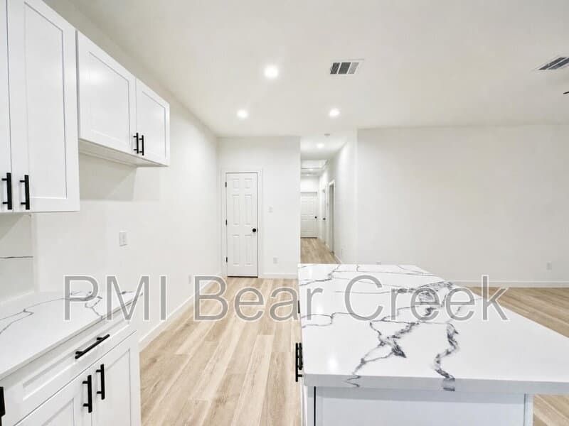 Houston Condo: 333 Delaware St