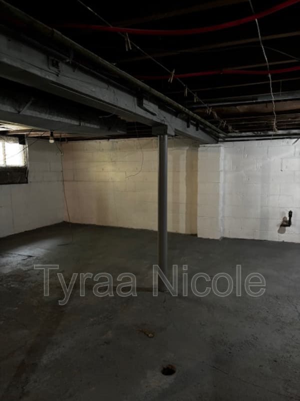 Detroit House: 14284 Cruse Street
