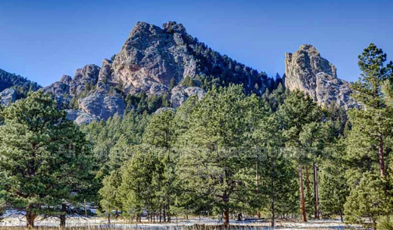 Boulder Condo: 1576 Bradley Drive