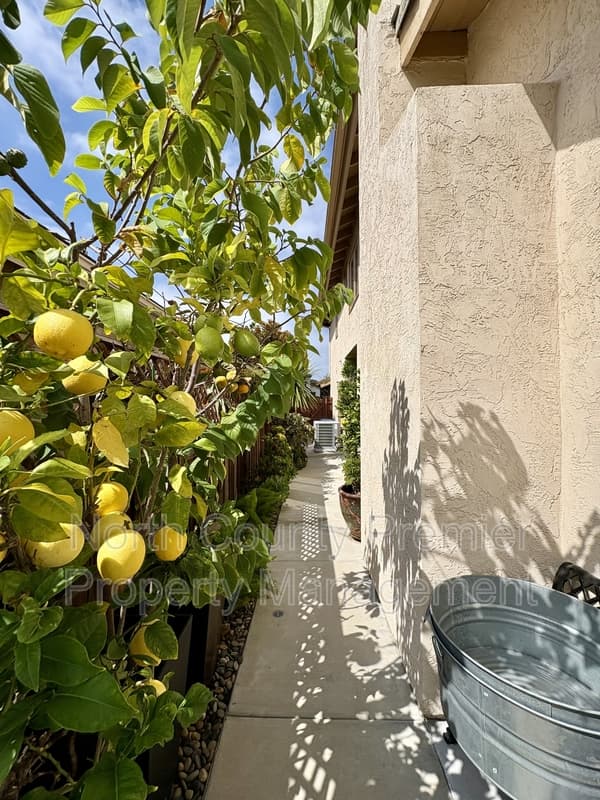 Encinitas House: 1867 Amalfi Drive
