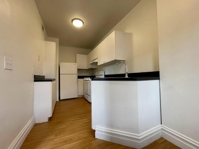 St Louis Condo: 6332 North Rosebury Avenue 1W