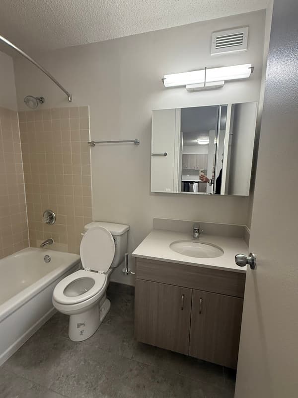 Chicago Condo: 1154 n dearborn st