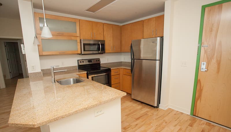 Harrisonburg Condo: 242 East Water Street Suite 105