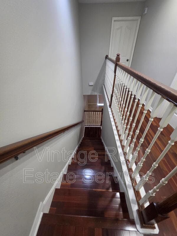Tampa House: 8110 Silent Creek Dr