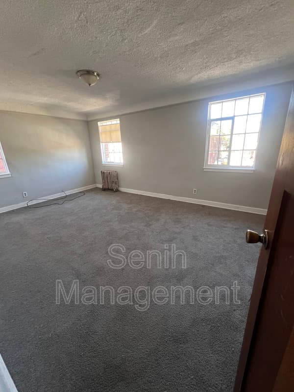 Detroit House: 4203 Tyler St