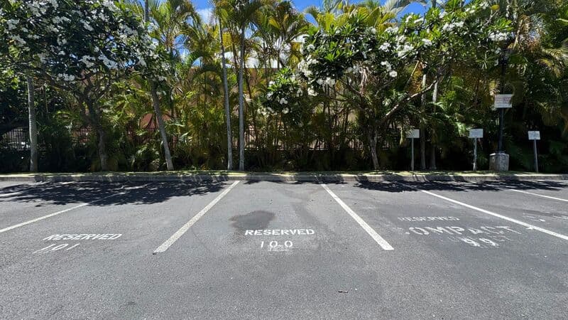 Kailua Condo: 445 Kailua Road
