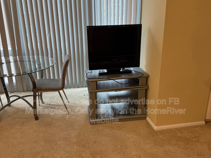 Chicago Condo: 21 W Goethe St