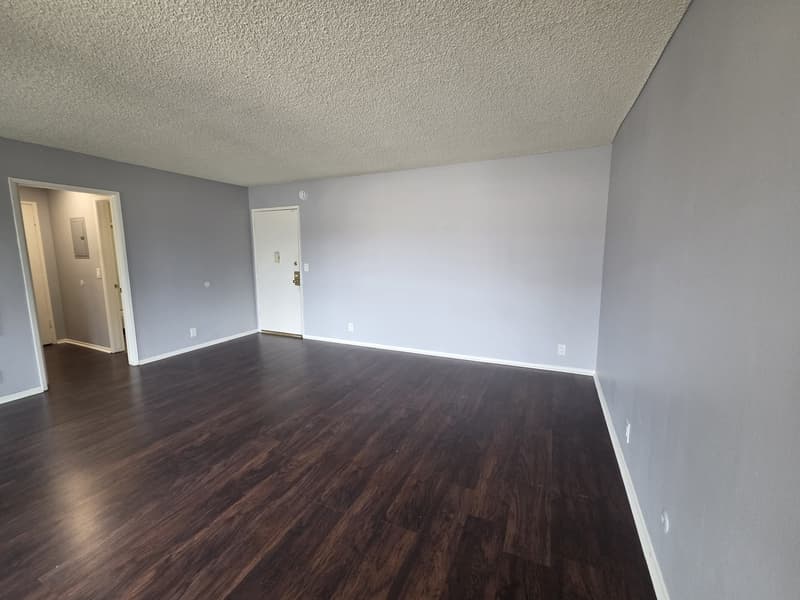 Los Angeles Condo: 123 South Catalina Street - 311