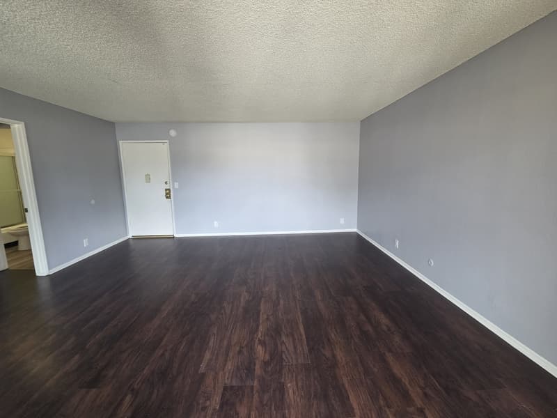 Los Angeles Condo: 123 South Catalina Street - 311