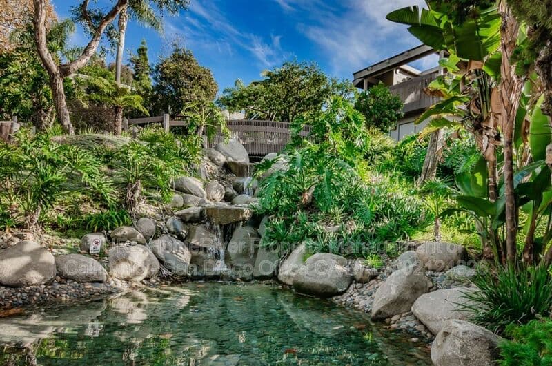 Encinitas House: 155 Rosebay Dr