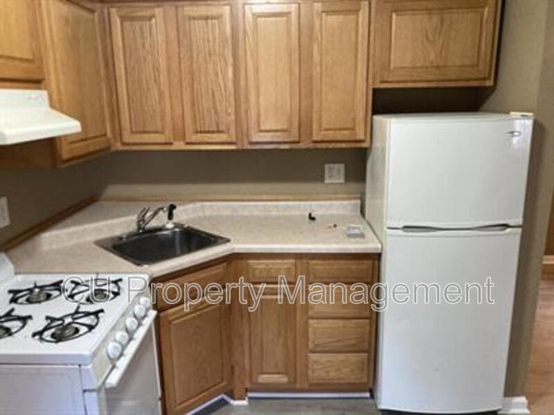 Champaign Condo: 711 W CHURCH St.