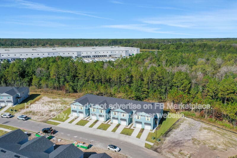 Middleburg Townhome: 3875 Athenian Way