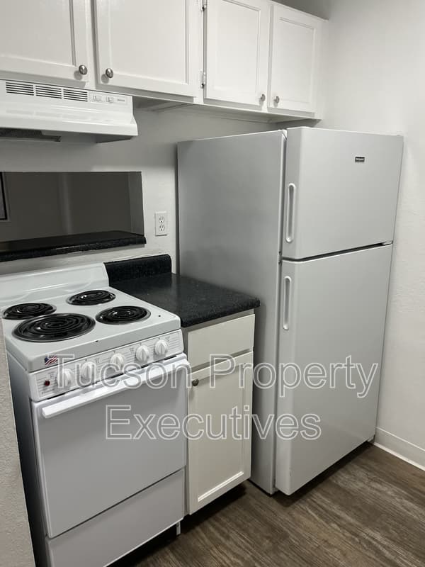 Tucson Condo: 219 West Fort Lowell Road - 109