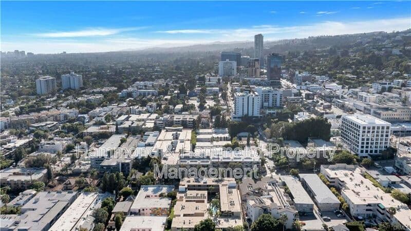 West Hollywood Condo: 970 Palm Ave.