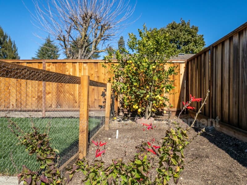 Pleasanton House: 4151 Francisco Street