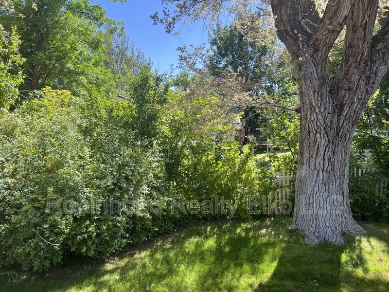 Elko Condo: 1183 3rd Street #3