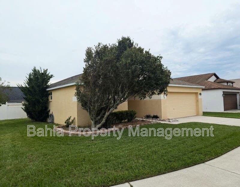 Valrico House: 913 Stallion Way