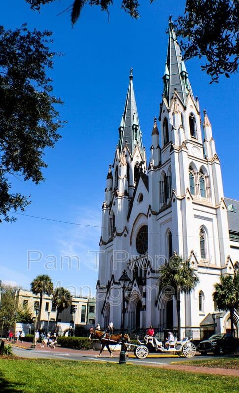 Savannah Condo: 321 Abercorn St.