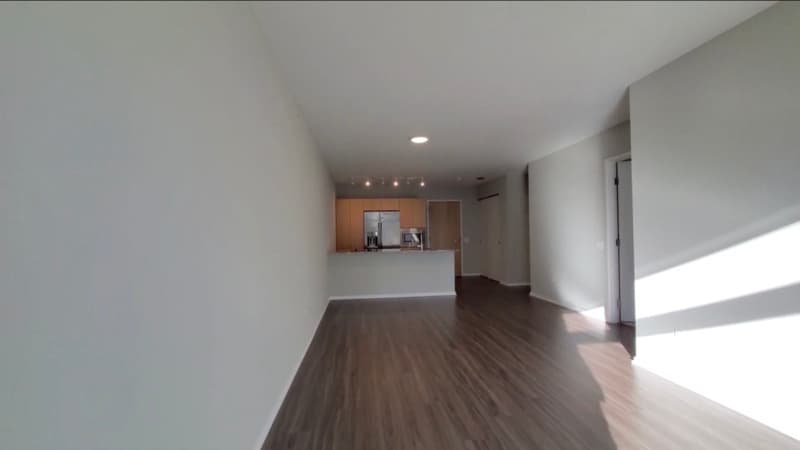 Chicago Condo: 205 E Illinois st