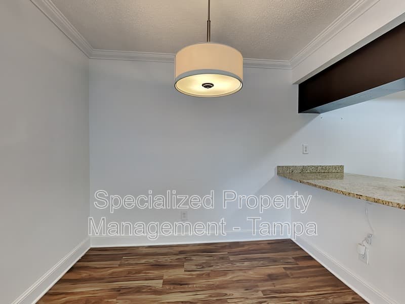 Tampa Condo: 3102 W Horatio St
